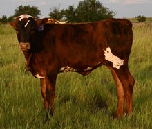 DB Rural’s Jam